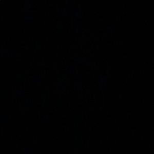 Meet your Posher, Jarett